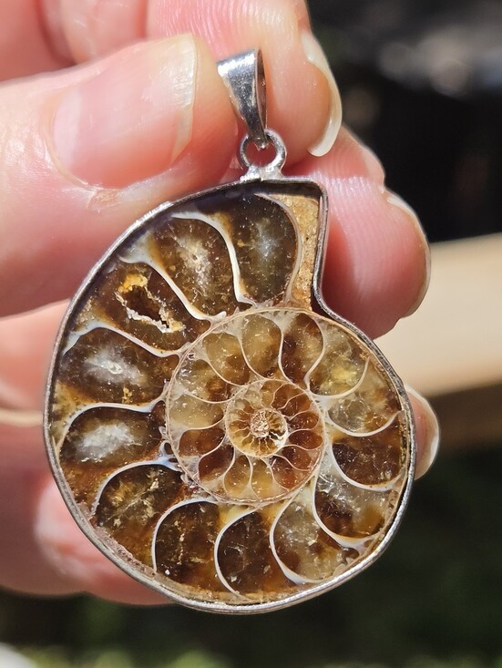 Celestial Kharma Collection by Avelon Other - Opalized Ammonite Fossil Sterling Silver Pendant